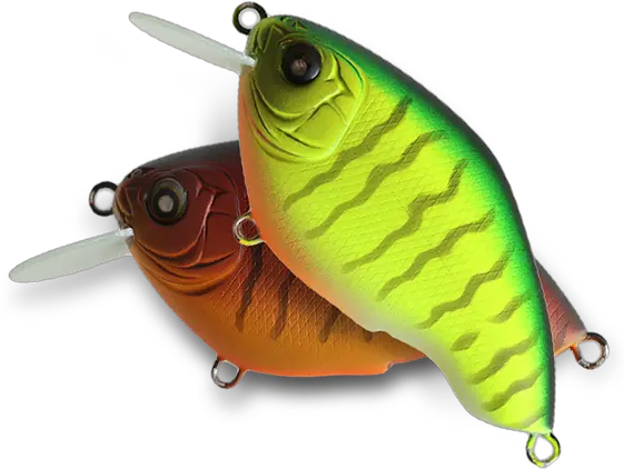  Bass Fishing Pomacentridae Png Fishing Lure Png