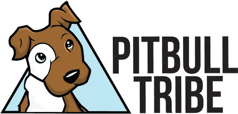  10 Reasons Why Pitbulls Are So Popular Fitbit Charge 4 Unboxing Png Pitbull Logo