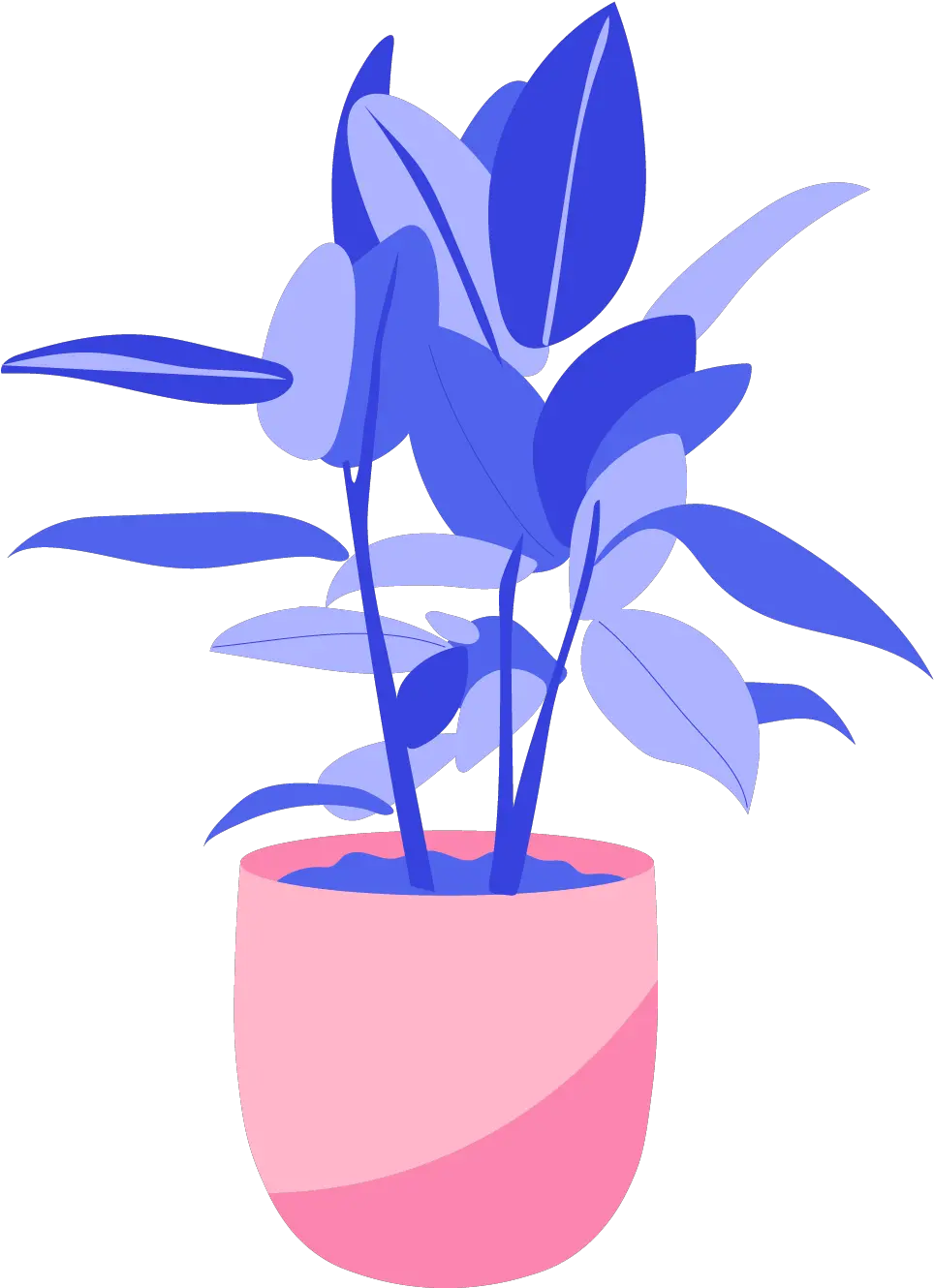  Aquarius Jan 20 Feb 18 The Best Houseplant For Every Png Cole Sprouse Icon Gif.