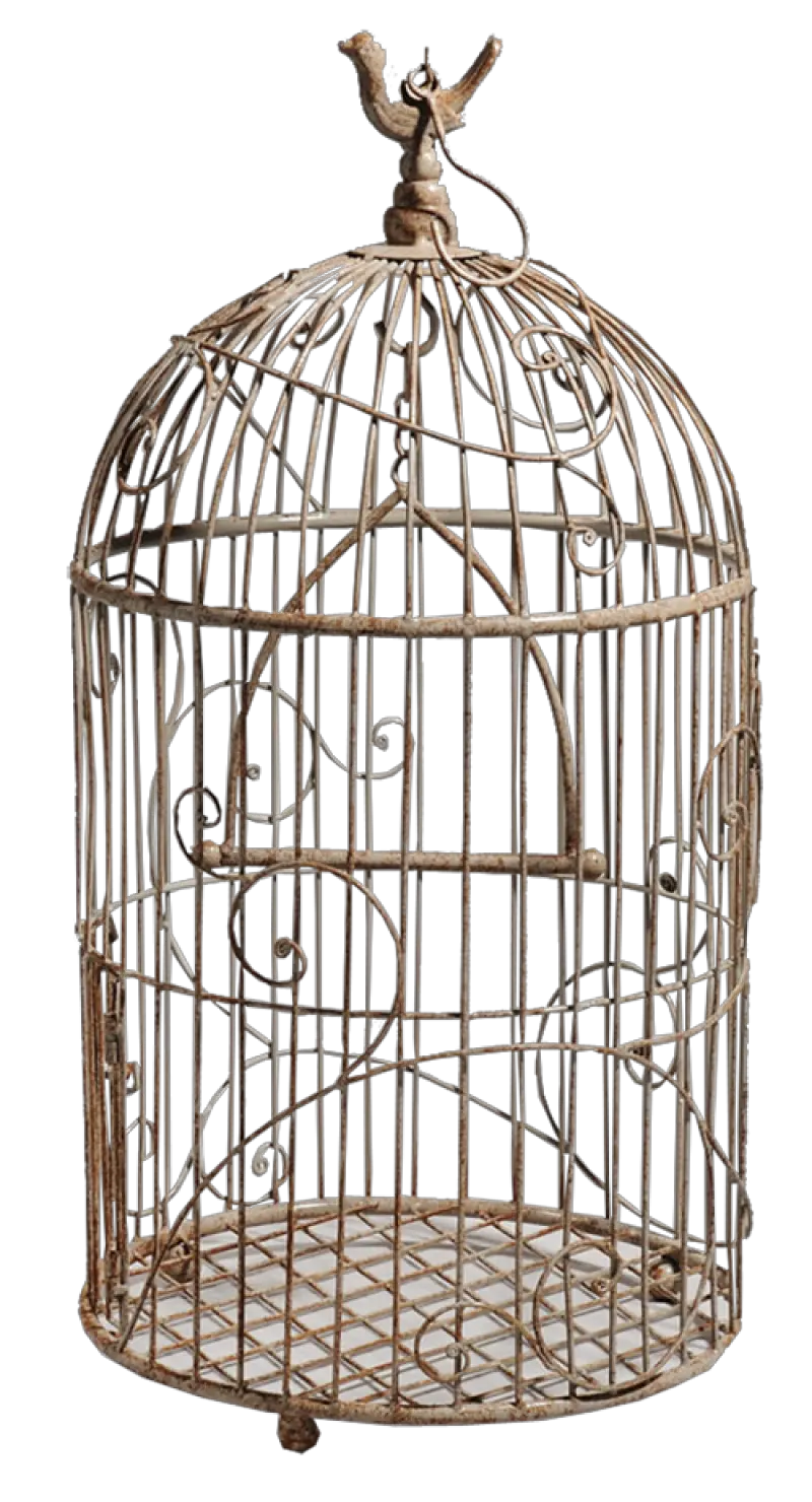  Cage Bird Png Bird Cage Png Cage Transparent