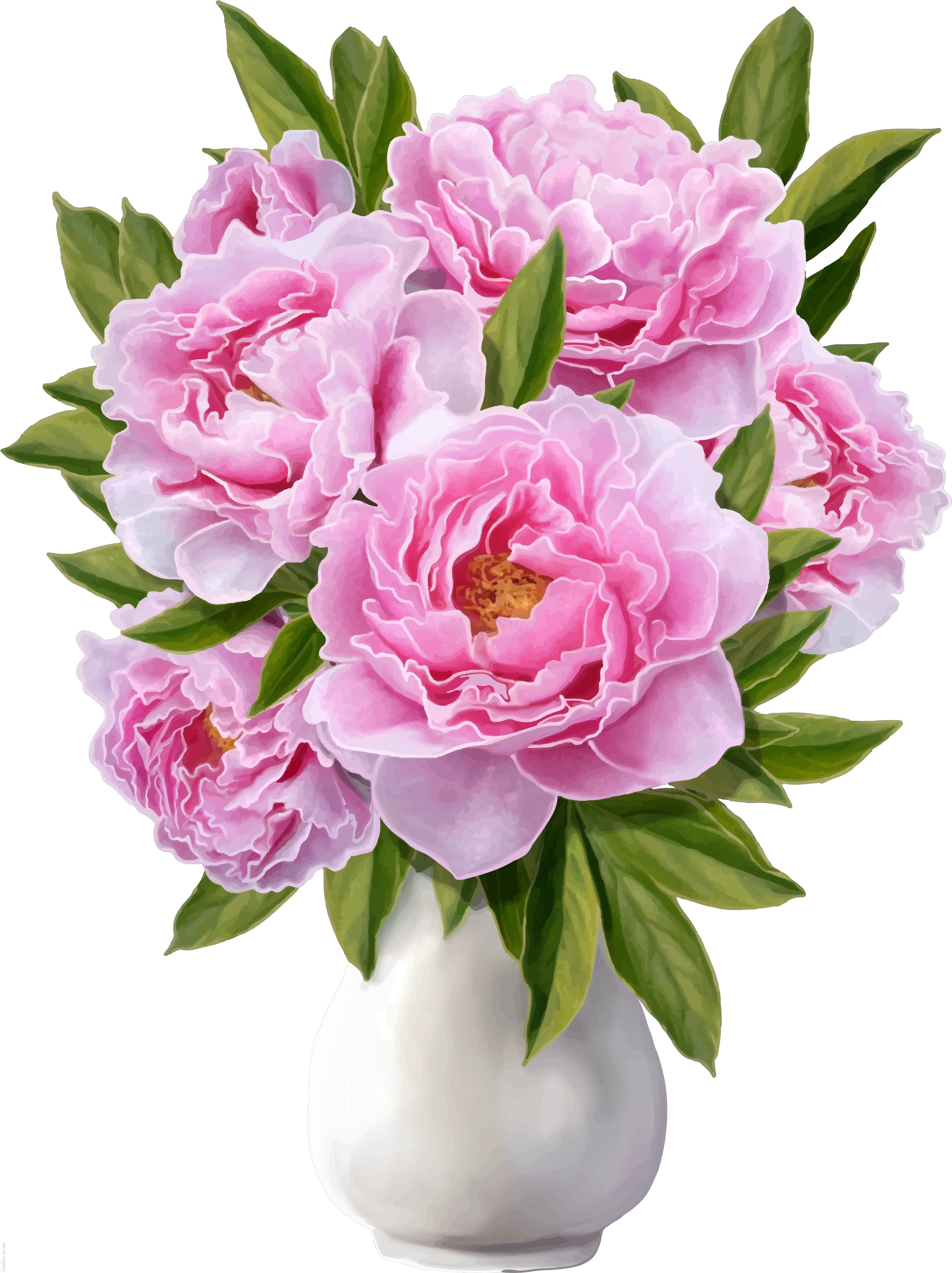  Of Peonies Png Banner Transparent Stock Vase With Flowers Png Transparent Peonies Png