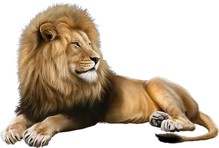  Verymanytubes Lion Mural Animals Lion Clipart Png Lion Transparent Background