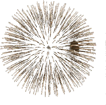  Fireworks Gif Transparent Www Pixshark Animated Fireworks Gif Transparent Png Transparent Fireworks