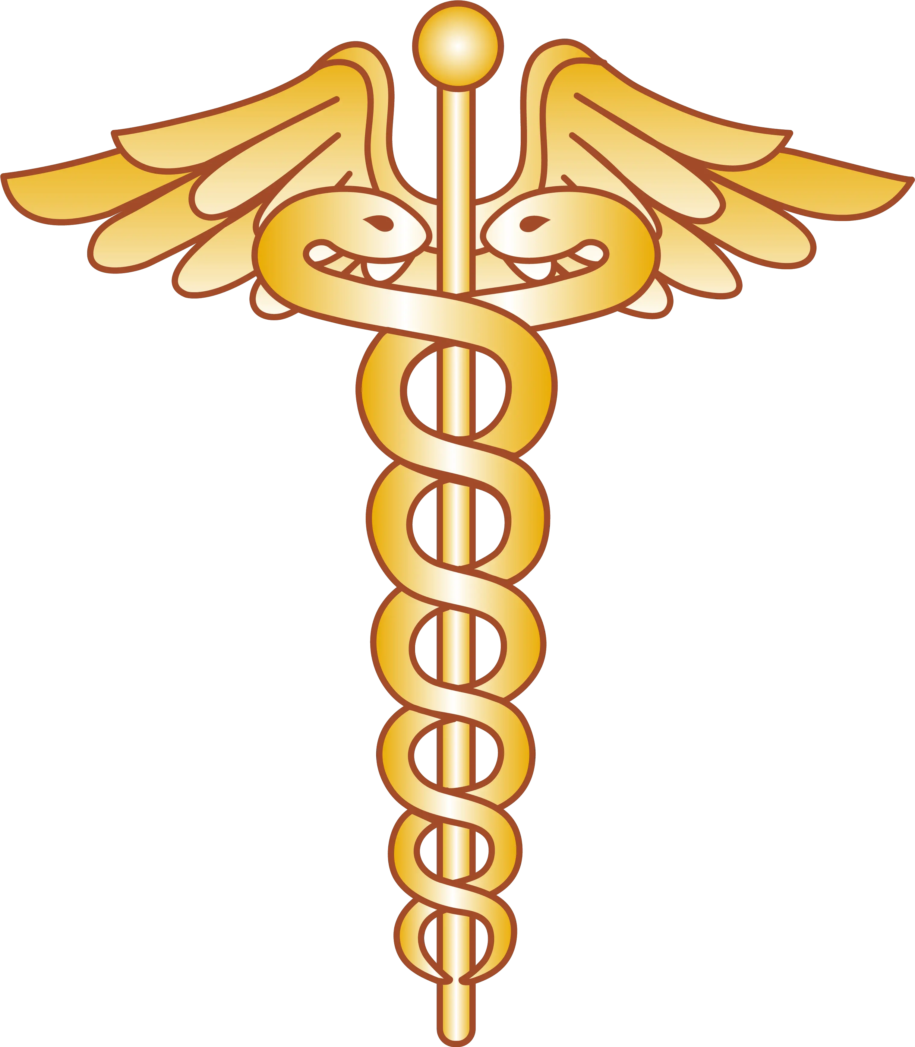  Physician Doctor Of Symbol Medicine Golden Doctor Logo Png Staff Png