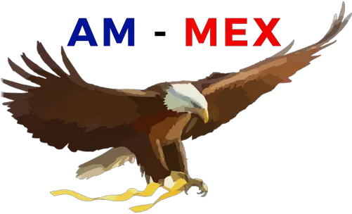  Am Mex Ravenwood Media Transparent Eagle Cartoon Png Mexican Eagle Logo