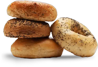  Metro Bagel Opportunity Metro Bagel U0026 Sandwiches Bagels Png Bagel Png