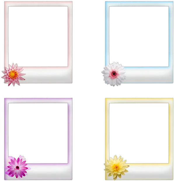  Polaroid Frames Flowers Frame Bingkai Polaroid Png Polaroid Frame Transparent