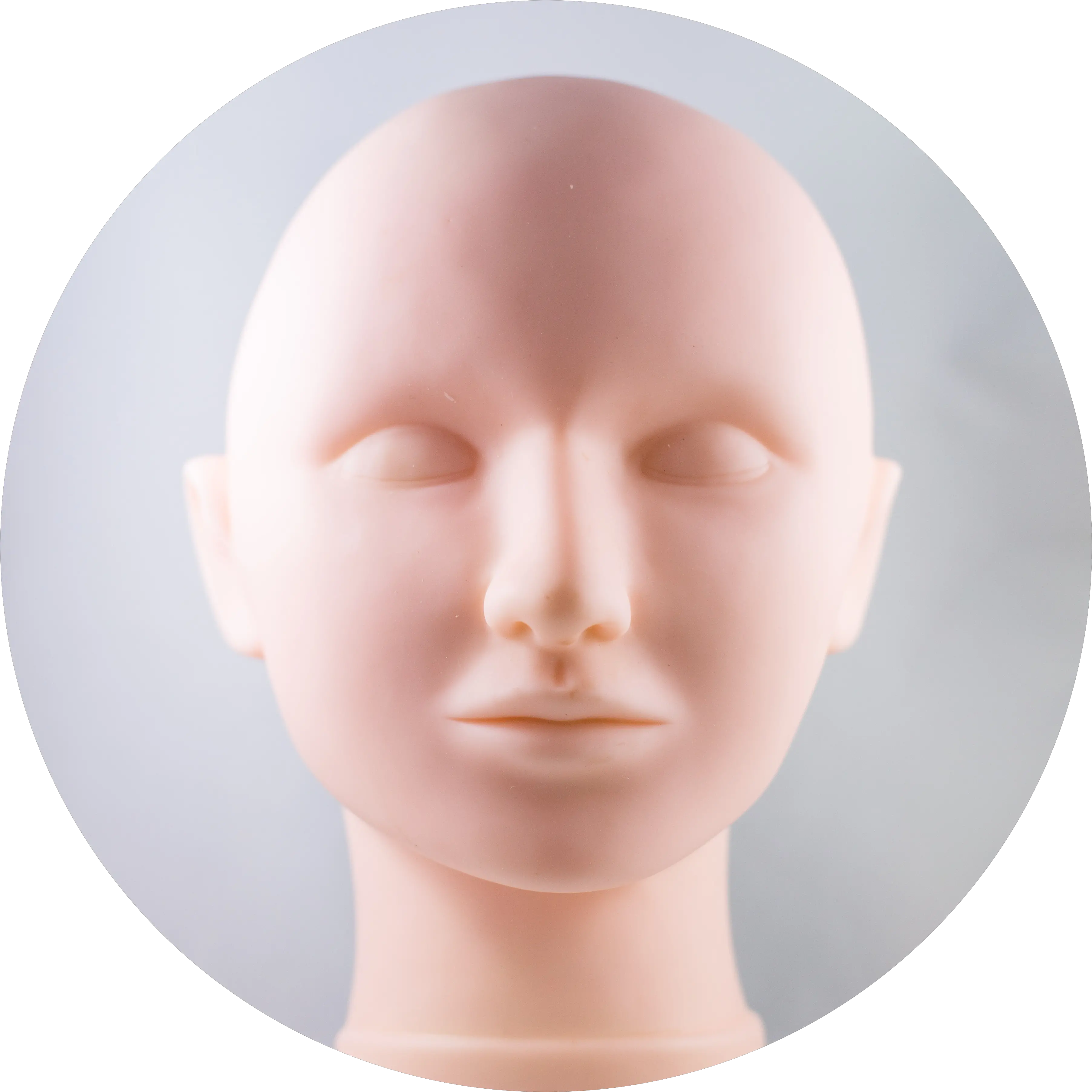  With Replaceable Skin For Adult Png Mannequin Head Png