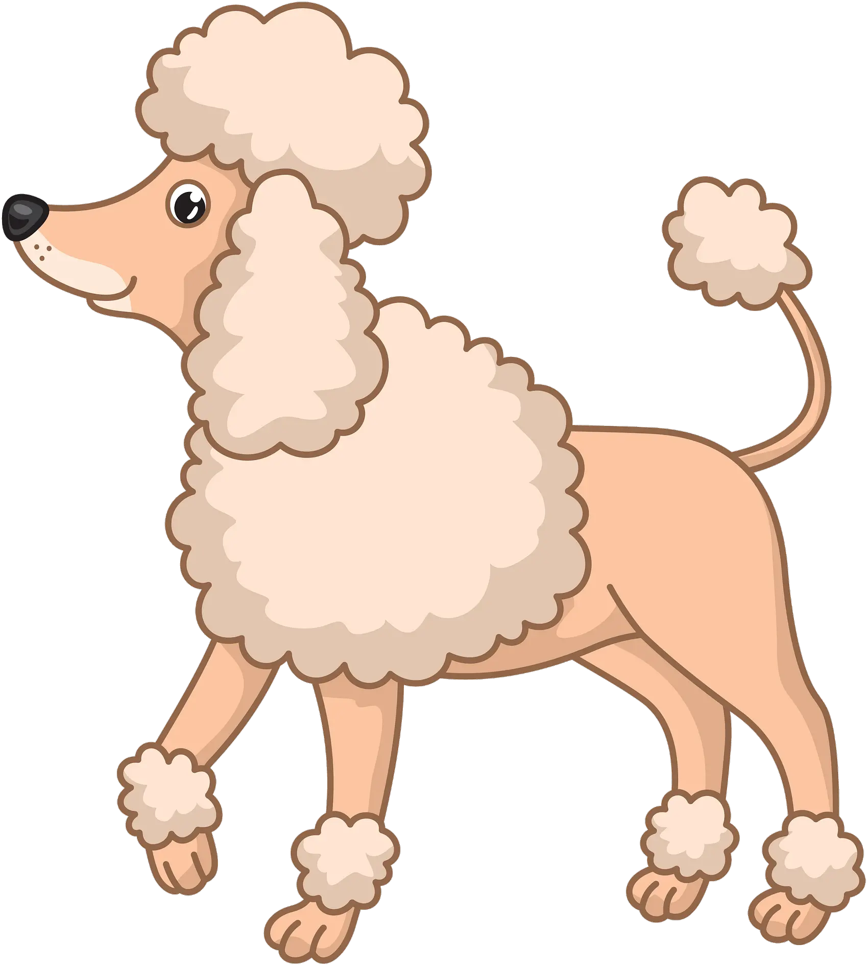  Download Poodle Clipart Hd Png Poodle Dog Clipart Poodle Png