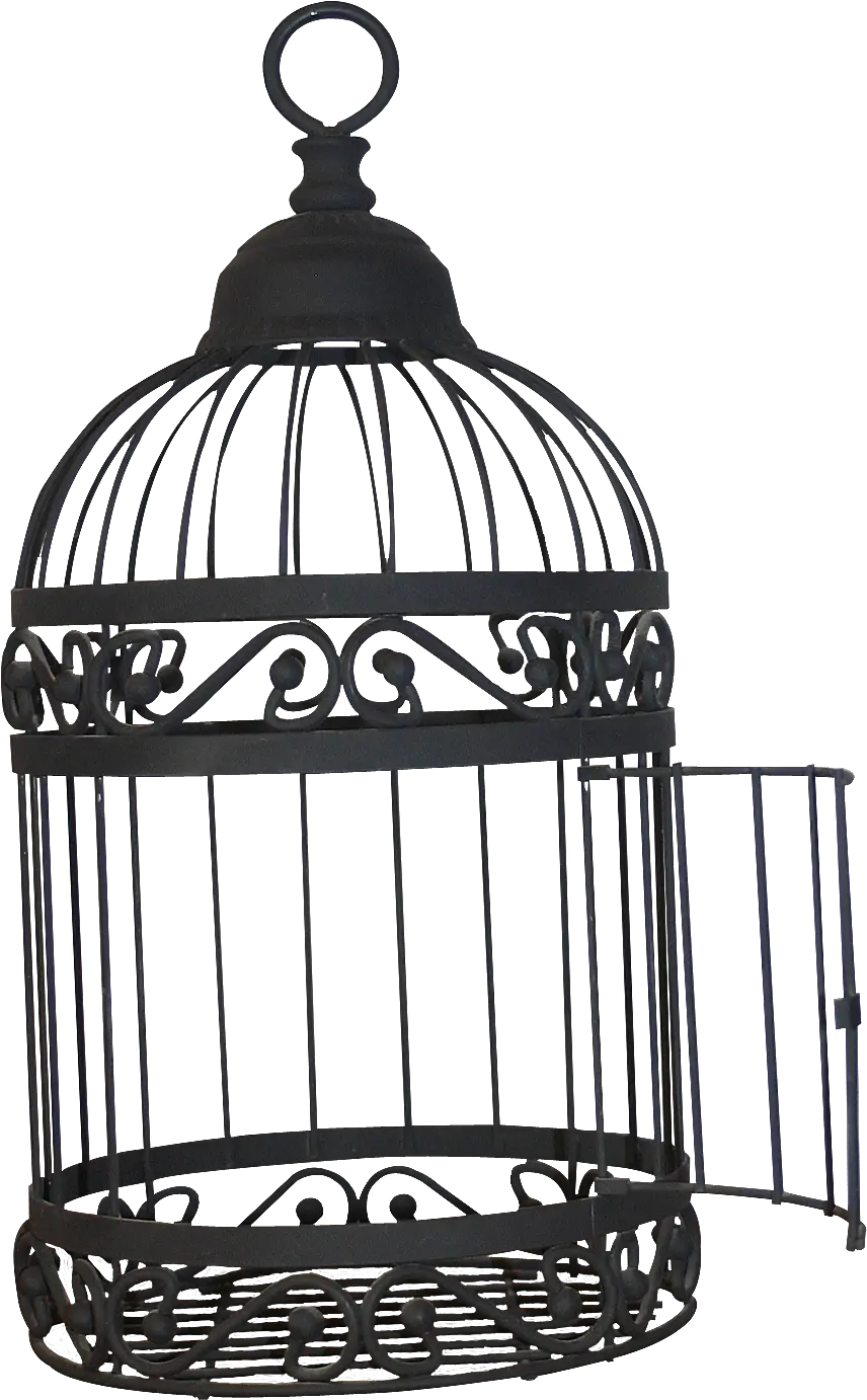  Birdcage Transparent Images Png Arts Open Birdcage Png Cage Transparent