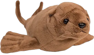  Ocaq Adoptionanimals105sealionplushadopt Oregon Stuffed Animal Aquarium Transparent Png Sea Lion Png