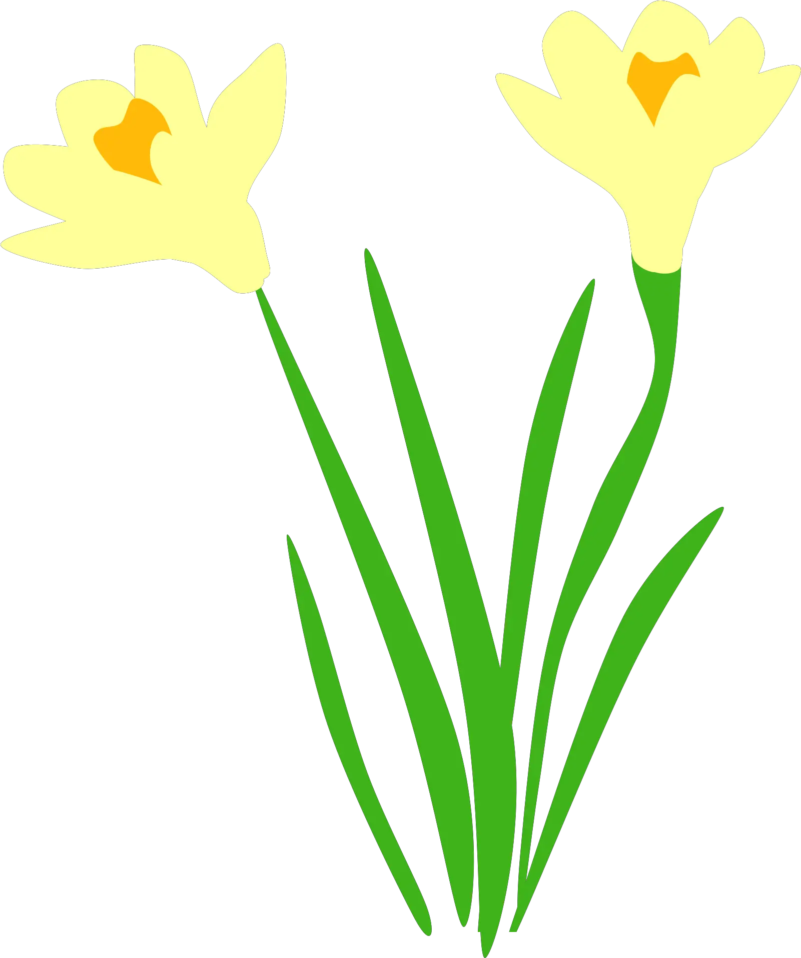  Daffodil Png Svg Clip Art For Web Transparent Daffodil Vector Daffodil Icon