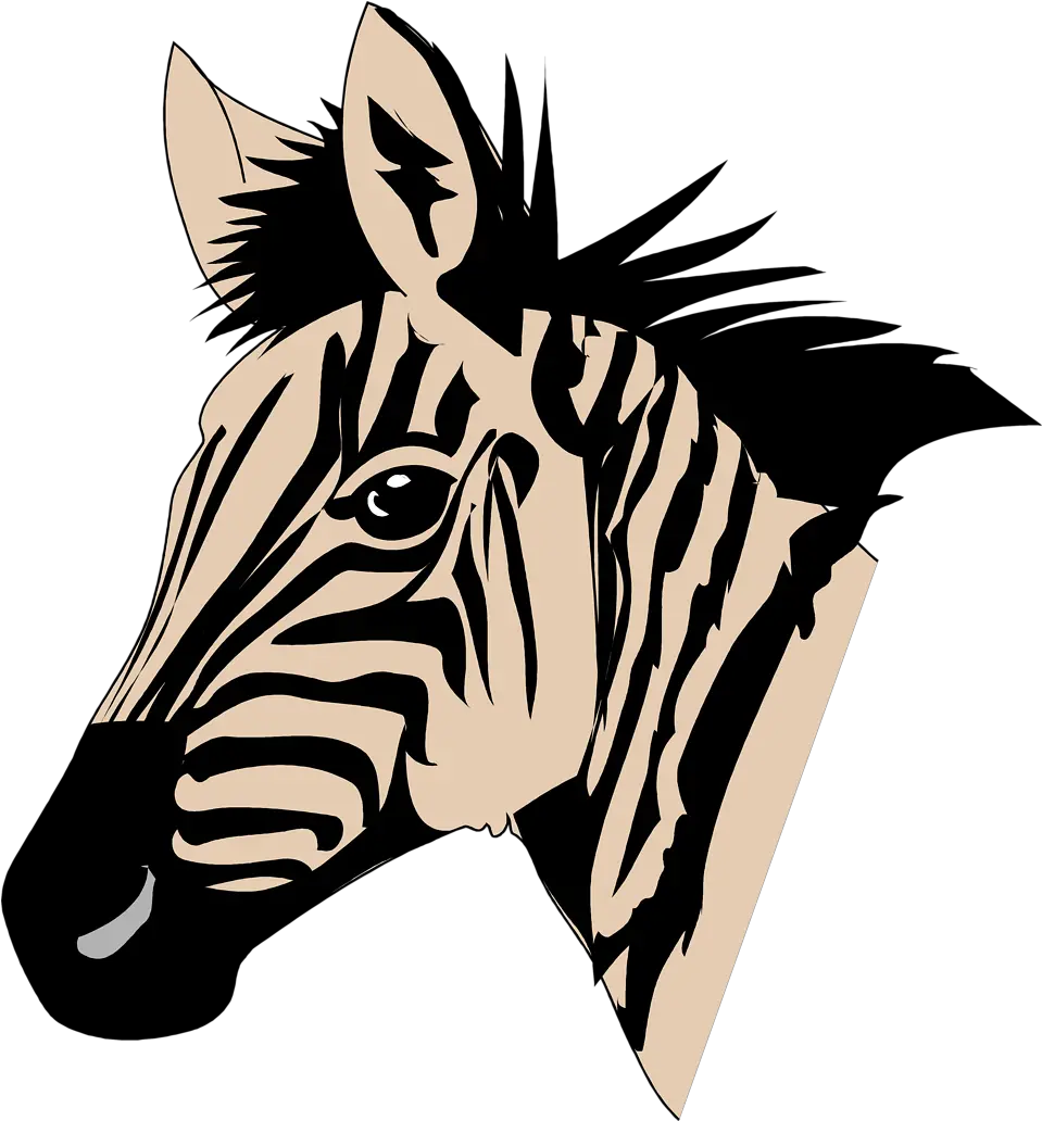  Zebra Head Png Image Easy Cartoon Zebra Head Zebra Transparent Background