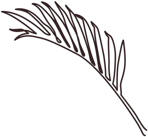  Palm Branch Line Drawing Language Png Palm Branch Png