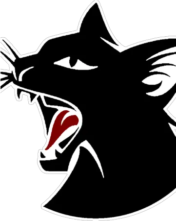  The Angry Left Unofficial Leftypol Discord Wiki Fandom Fierce Cat Cartoon Png Discord Logo White