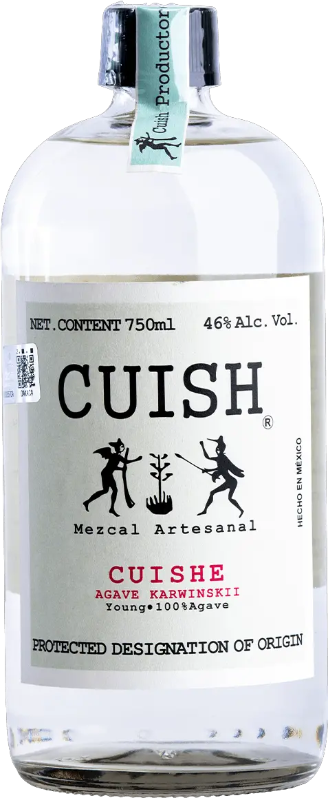  Cuish Mezcal Cuishe Agave Mezcal Cuishe Png Agave Png