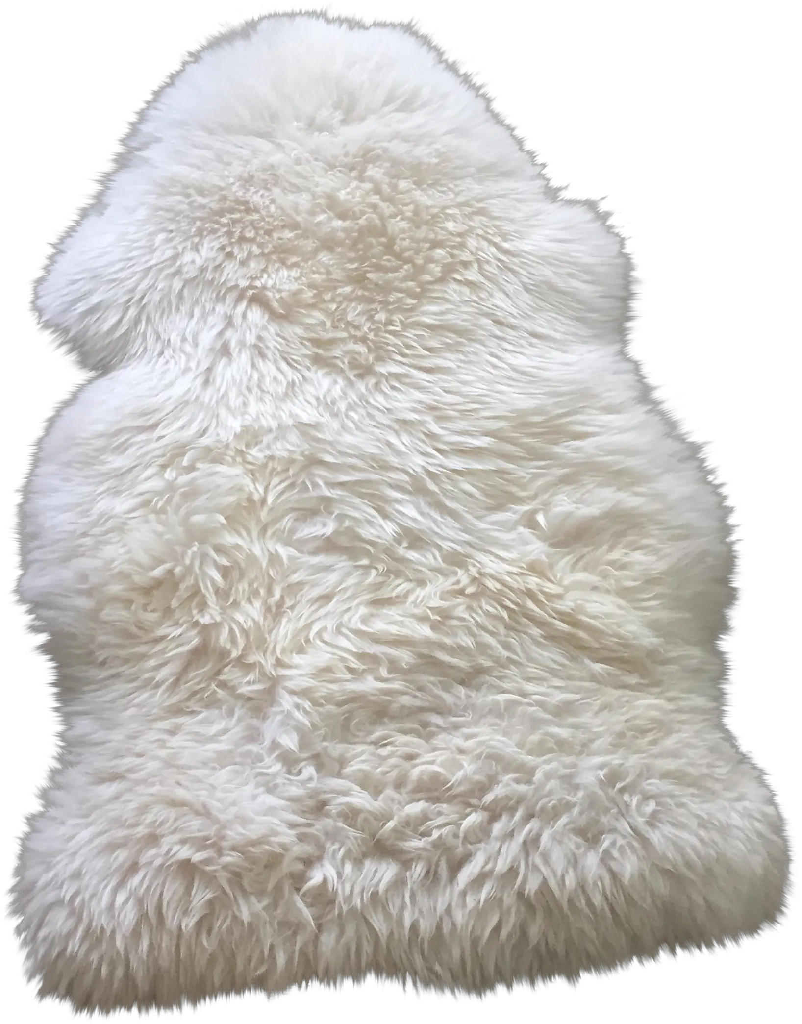  Fur Rug Transparent Png Clipart Free Transparent Fur Png Fur Png