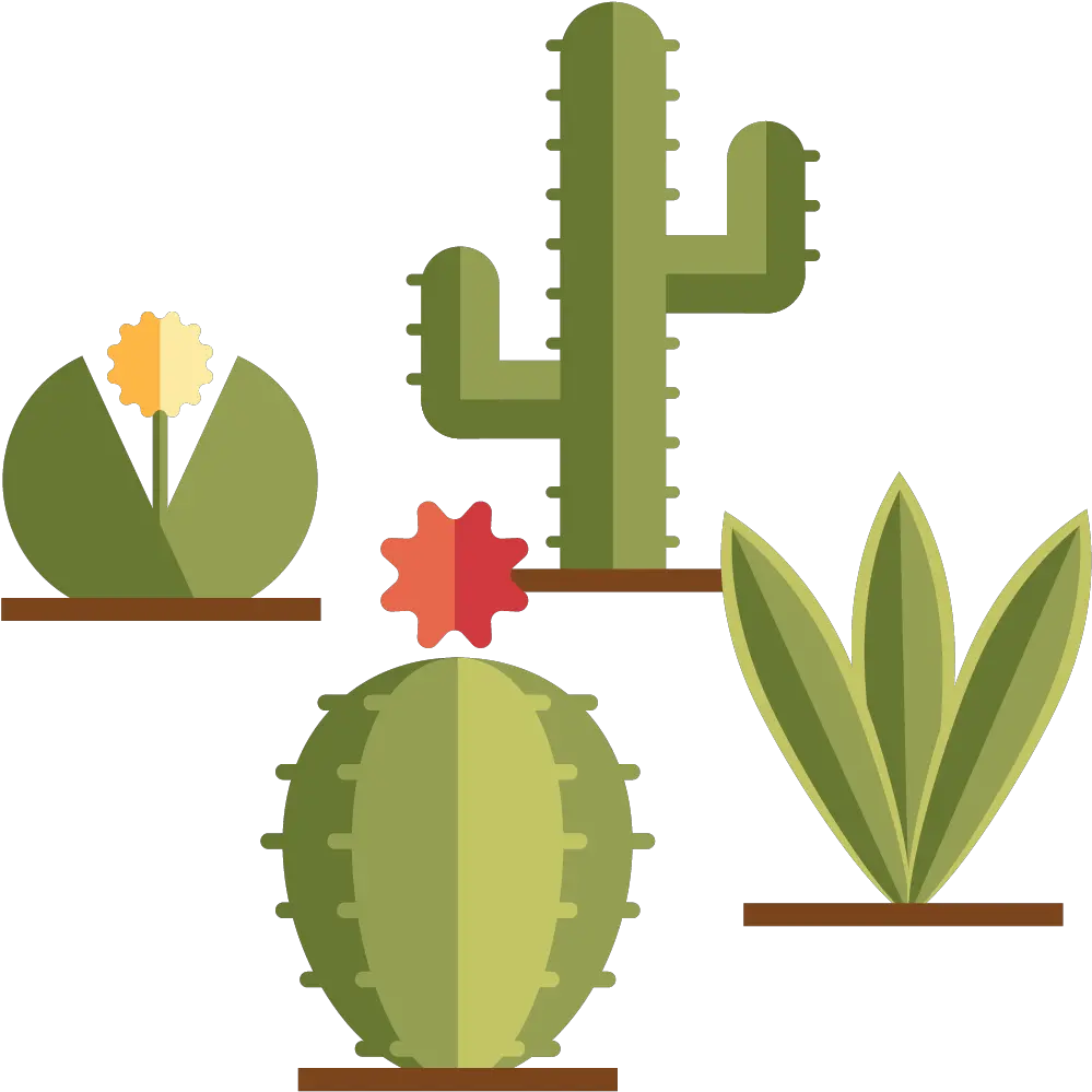  Desert Gardening Classes In Phoenix Az Cacto Minimalista Png Desert Plant Png