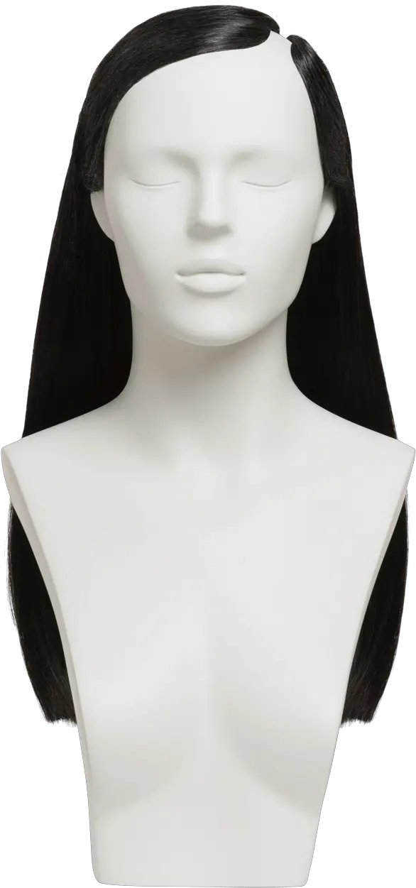  Hwfb Hair Design Png Mannequin Head Png