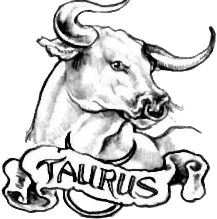  16 Taurus Tattoo Images Pictures And Design Ideas Taurus Tattoo Png Chest Tattoo Png