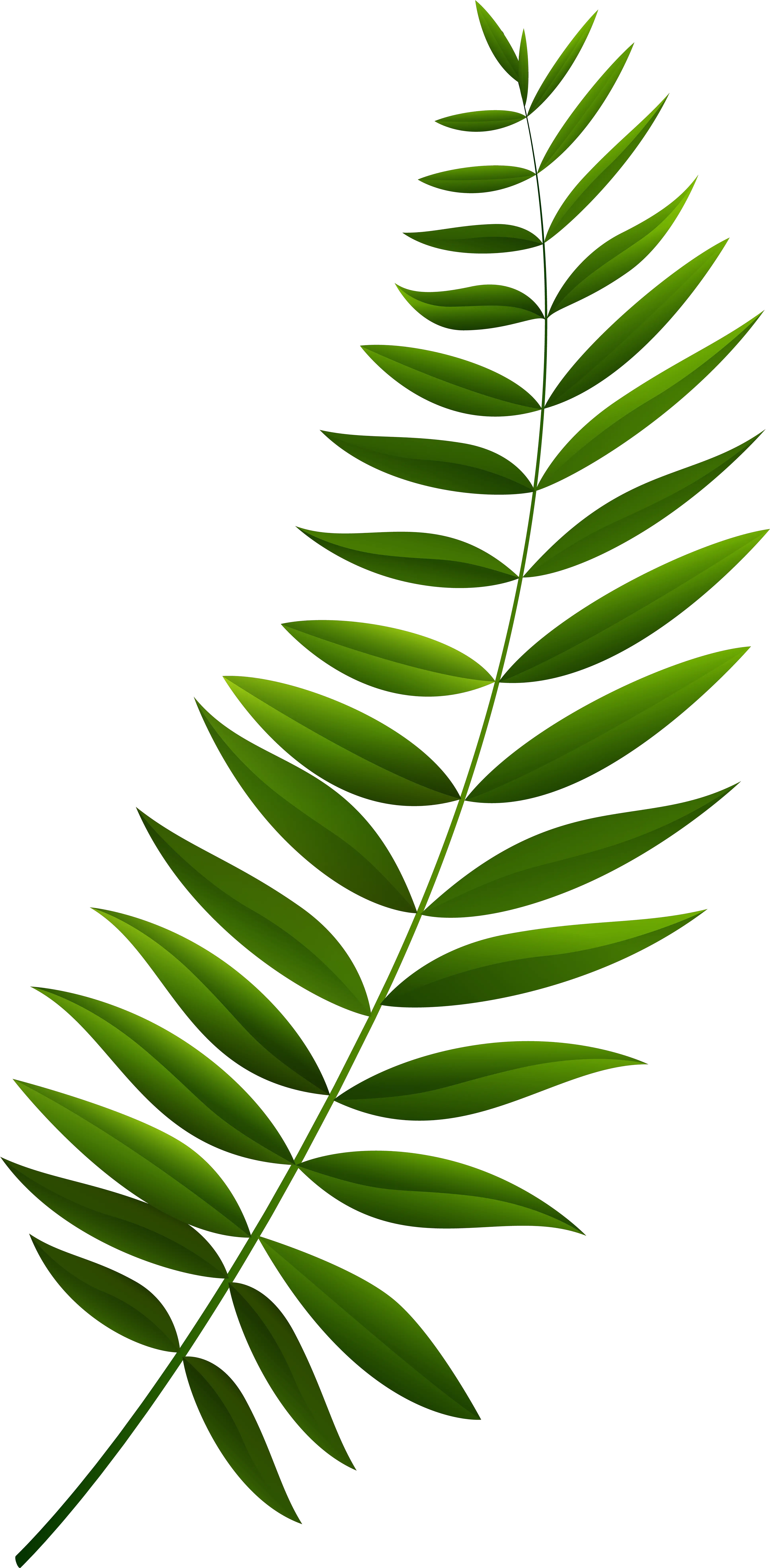  Download Green Branch Clipart Png Image Transparent Clipart Branch Branch Clipart Png