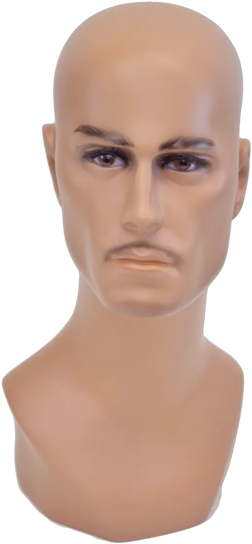  Buy Display Male Mannequin Head Hair Loss Png Mannequin Head Png