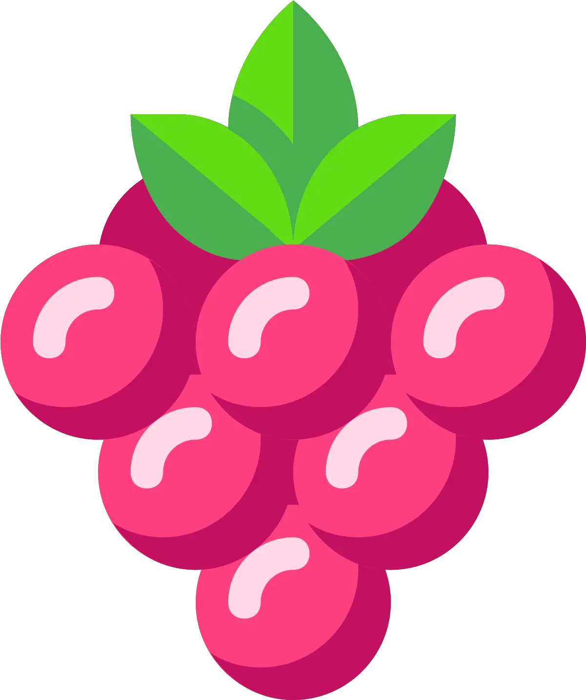  Download Berry Vector Berry Png Full Size Png Image Pngkit Berry Vector Free Download Berry Png