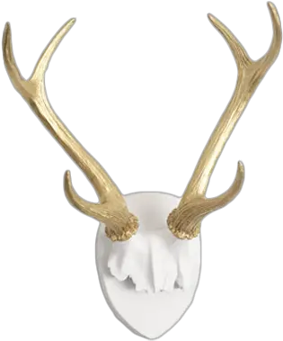  Download Any Color Faux Deer Antler Deer Antlers Mount Png Deer Antler Png