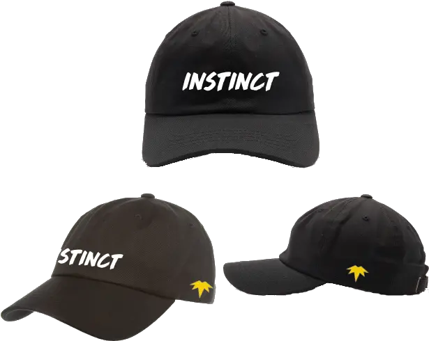  Team Instinct Cap For Baseball Png Team Instinct Logo