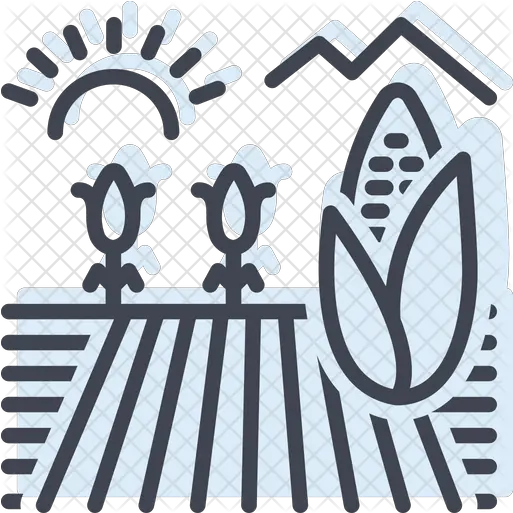  Corn Field Icon Of Colored Outline Crop Field Icon Png Corn Field Png