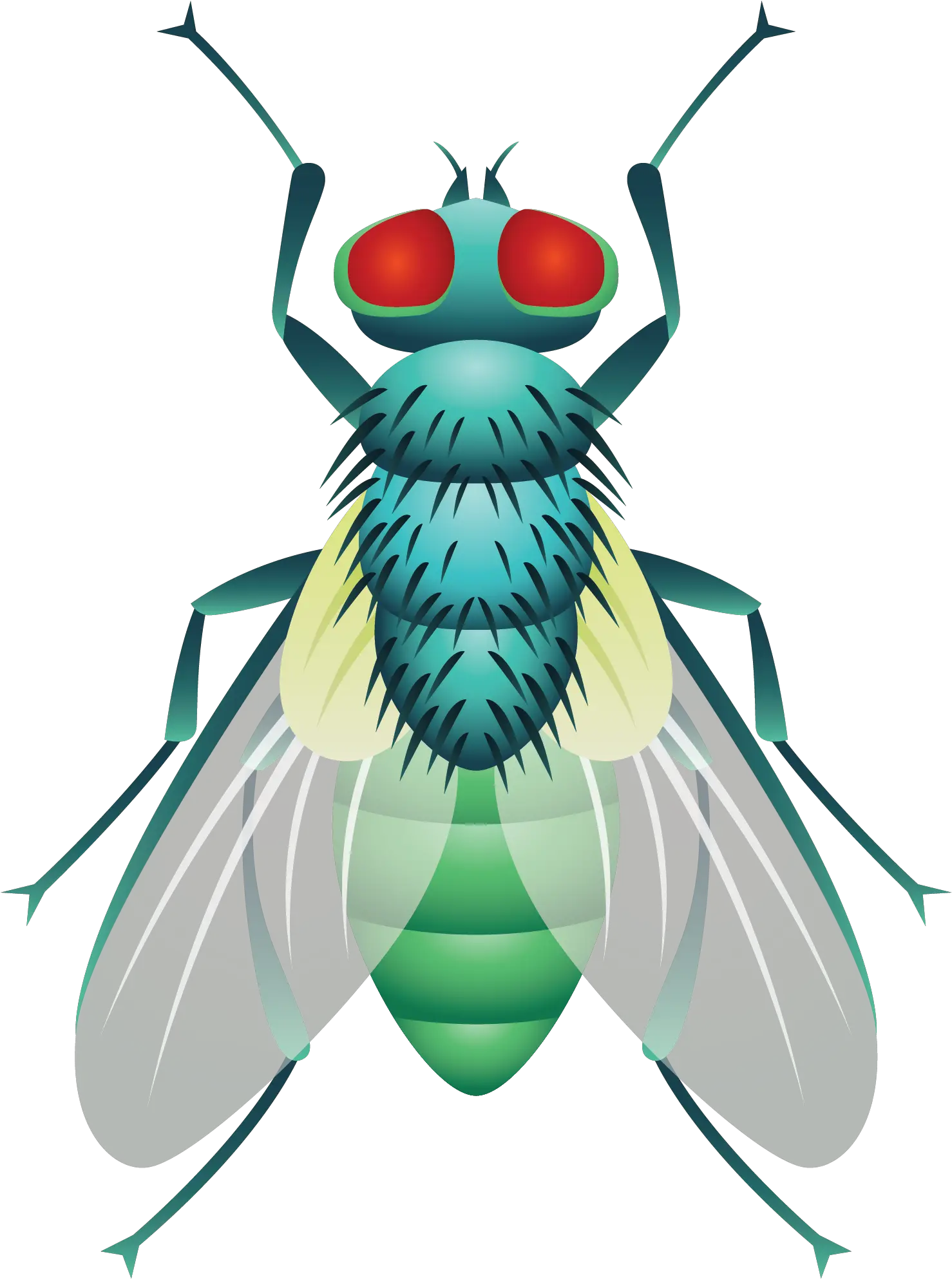  Beetle Cockroach Fly Vector Mosca Png Flies Png