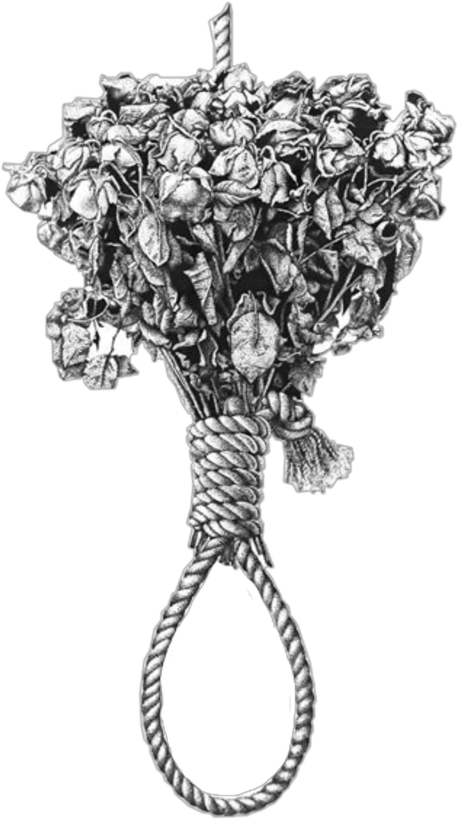  Deadflowers Brokenheart Noose Sticker By Emily Happens When You Call The Suicide Hotline Png Noose Transparent