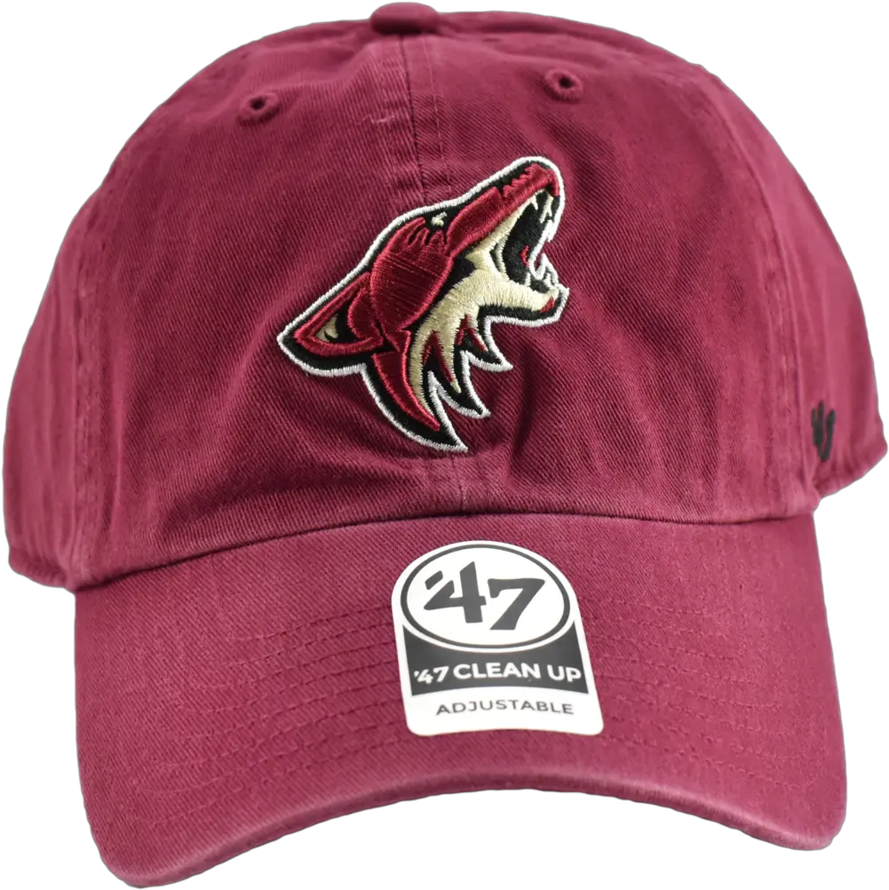  Arizona Coyotes 47 Nhl Dad Hat For Baseball Png Arizona Coyotes Logo Png