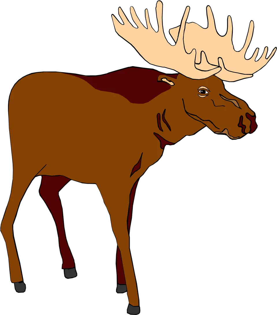  Download Moose Moose Clipart Transparent Png Moose Transparent