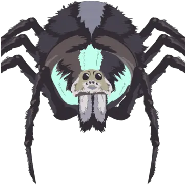  Queen Spider South Park Archives Fandom Png