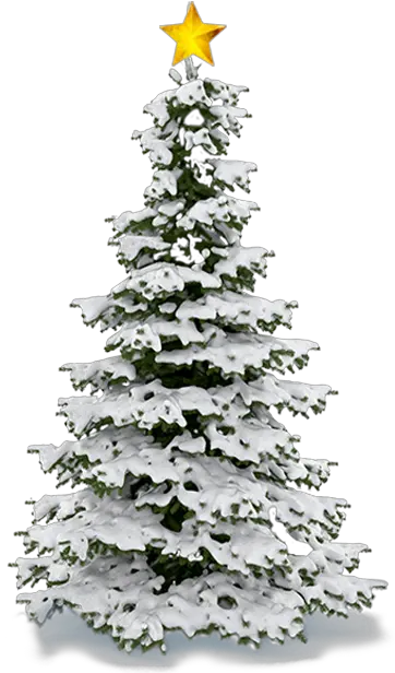  Christmas Tree Snow Christmas Snow Tree Png Christmas Snow Png