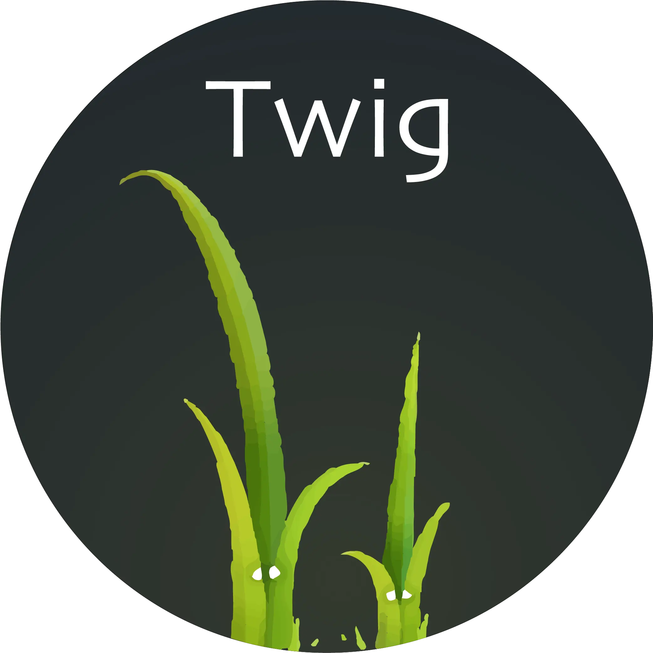  Twig Language Support Visual Studio Marketplace Language Png Twig Icon