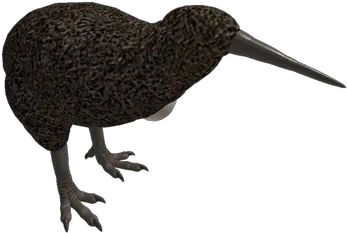  Unioned Kiwi Bird U0026 Egg Roblox Hummingbird Png Kiwi Bird Png