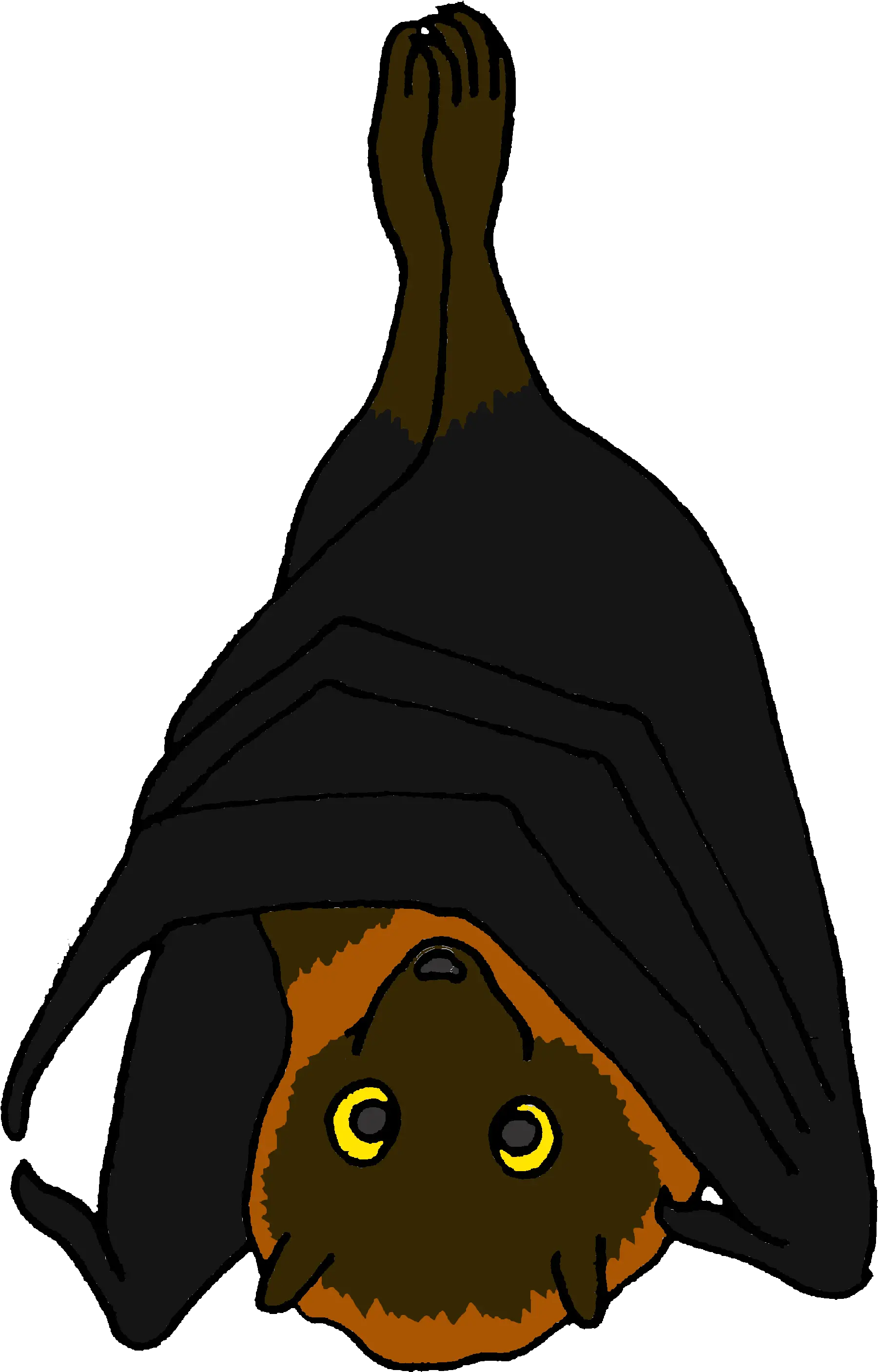  Download Hd Cartoon Rodrigues Fruit Bat Fruit Bat Clipart Png Bats Transparent