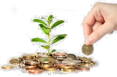  Save Money Png Photo All Savings Account Money Tree Png