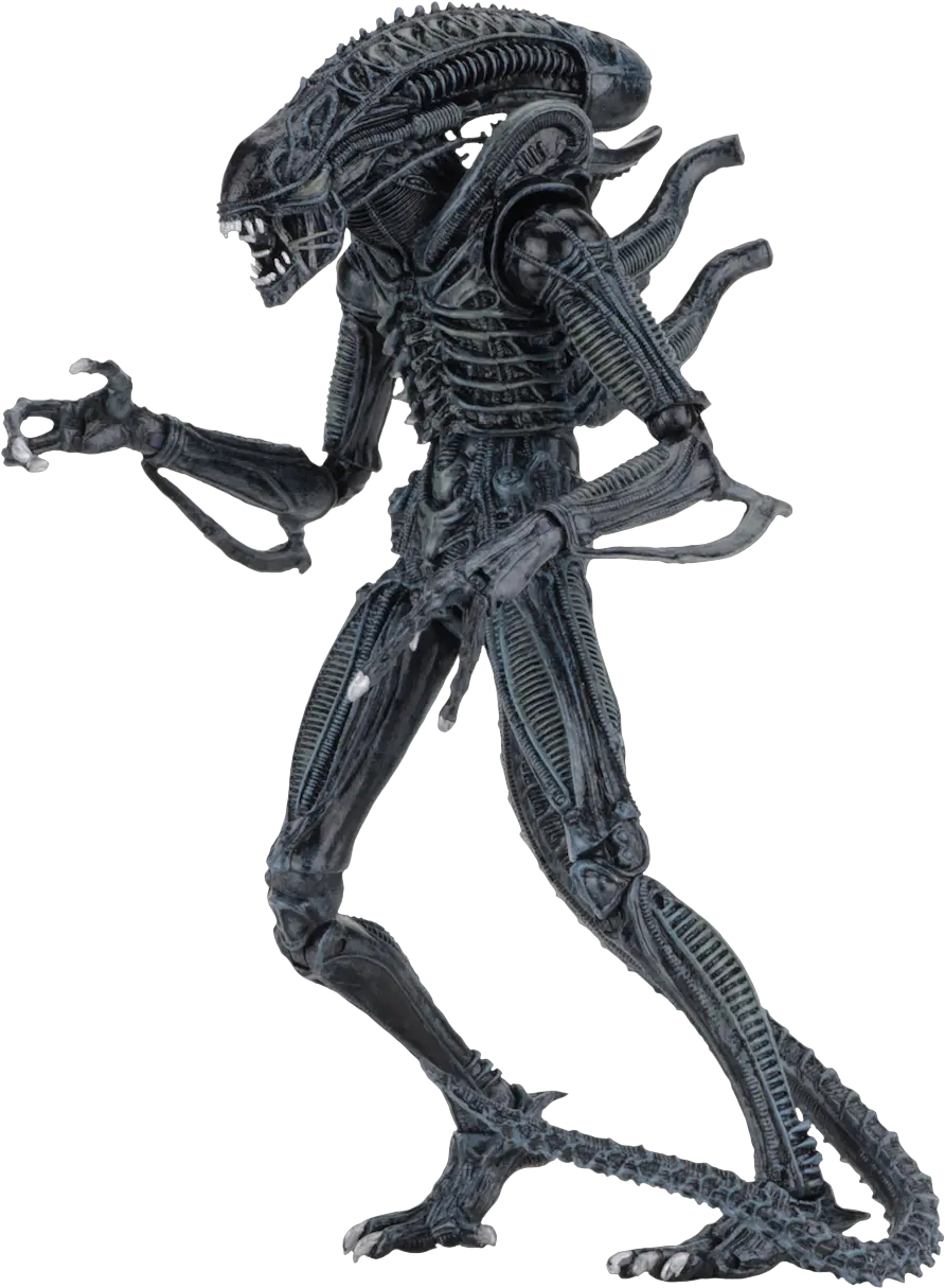  Download Alien Warrior Ultimate Alien Warrior Ultimate Neca Png Xenomorph Transparent