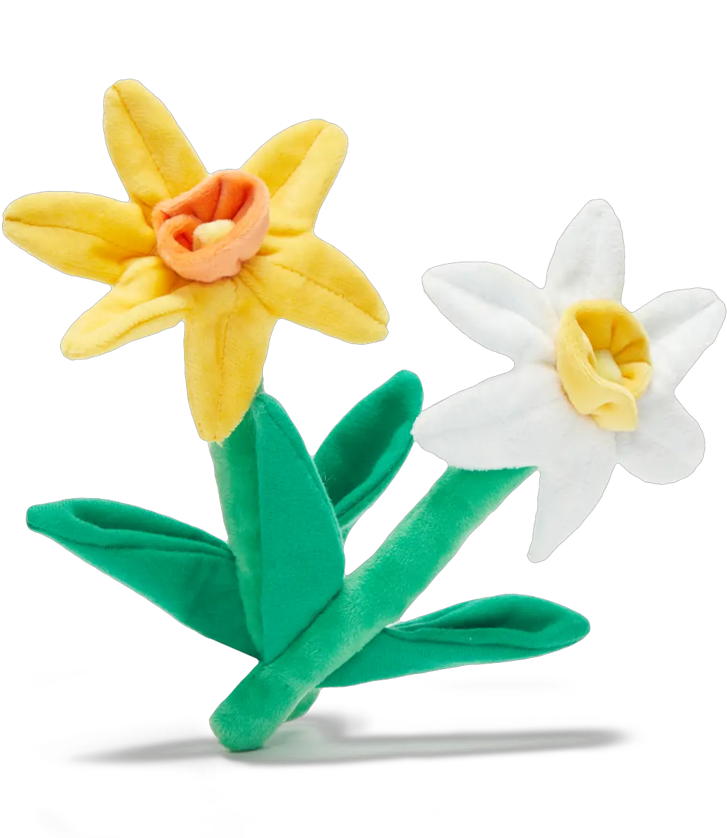  Dilly Dally Daffodils U2013 Barkshop Lovely Png Daffodil Png