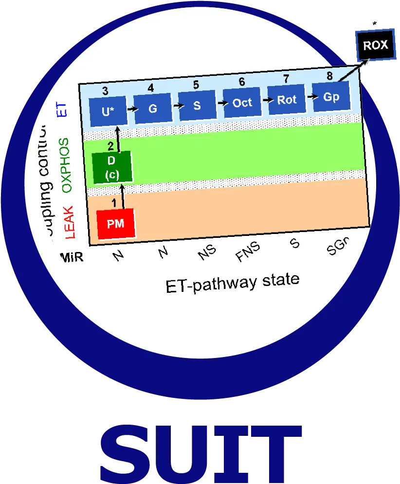  Suitbrowser Oroboros Instruments Substrate Uncoupler Inhibitor Titration Suit Png Gp Icon