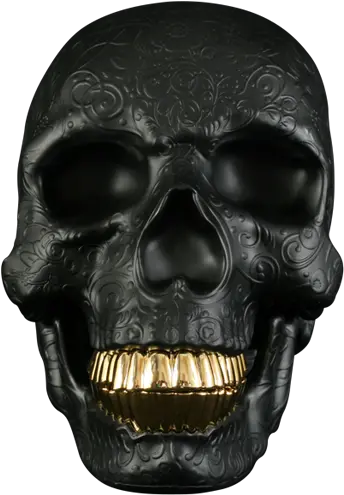  Skull With Gold Teeth Png Image Skull With Gold Teeth Png Gold Teeth Png