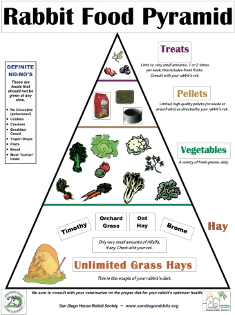  Rabbit Food Pyramid East Bay Rabbit Rescue Diet Of A Rabbit Png Food Pyramid Png