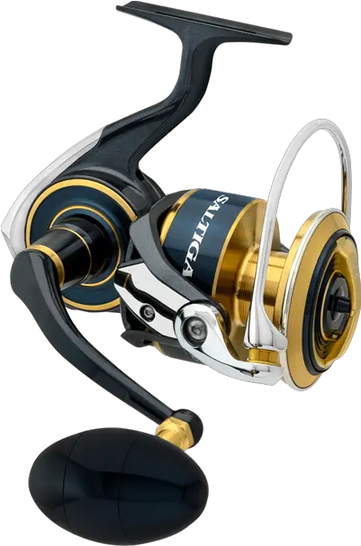  20 Saltiga Spin Reels Daiwa Saltiga 2020 Png Fishing Reel Png