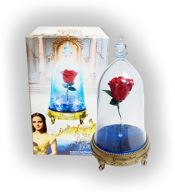  Download Beauty And The Beast Enchanted Rose Kopen Png Image Loudspeaker Beauty And The Beast Rose Png