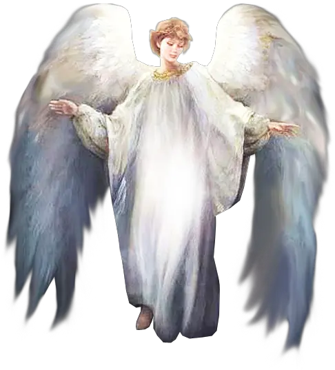  Xmas Angel Transparent Background Angel Transparent Background Png Angel Transparent Background