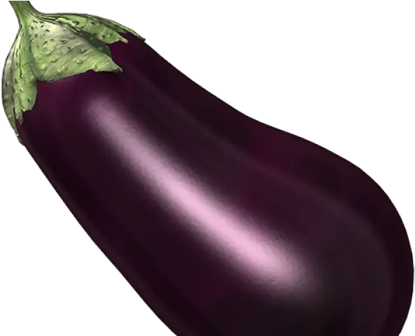  Eggplant Png Transparent Images 7 490 X 490 Webcomicmsnet Eggplant Transparent