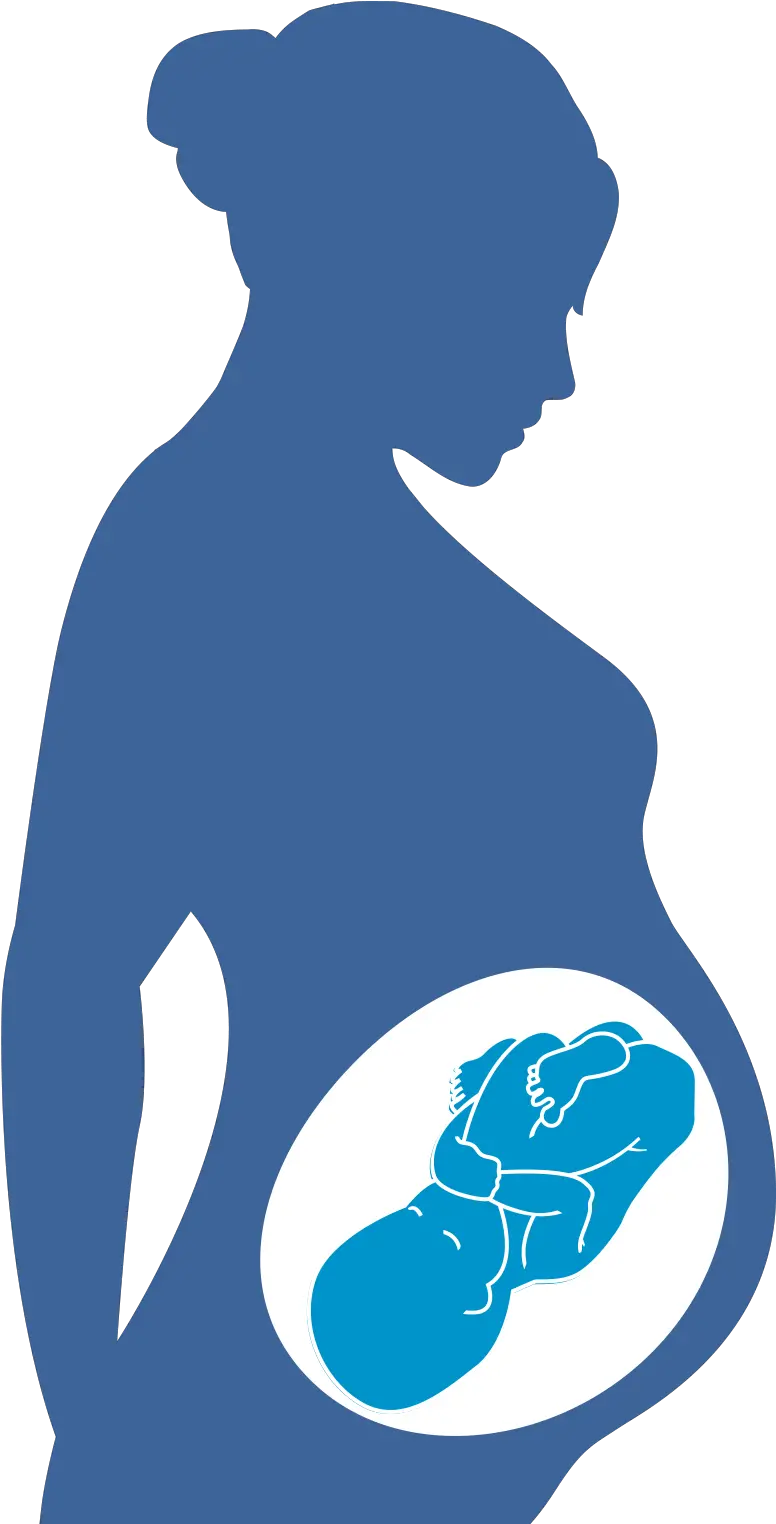  Library Of Hiv Virus Affecting The Person Picture Pregnant Clipart Png Virus Png